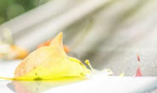 陈奕迅经典歌词网名 陈奕迅经典歌词网名