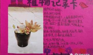 三年级植物记录卡