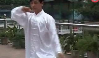 吴阿敏太极拳教程