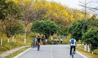 深圳到丽江自驾游最佳路线 深圳周边自驾游