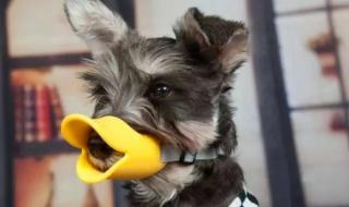 以危险方法危害社会公共安全罪是一般法吗 危害社会公共安全罪