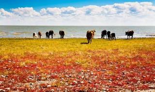 春天到了秋天还会远吗是谁说的 夏天与秋天的碰撞